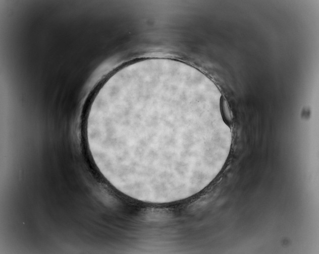 X0000103430296200810241105
