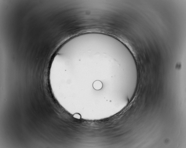 X0000103430297200810241105