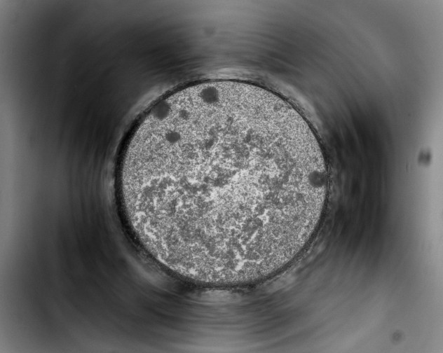 X0000103430298200810241105