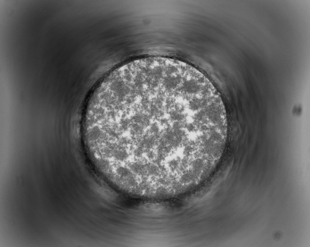 X0000103430299200810241105