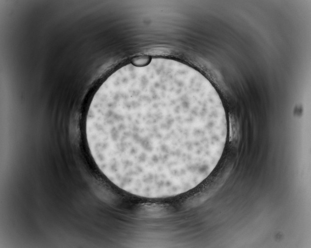 X0000103430300200810241105