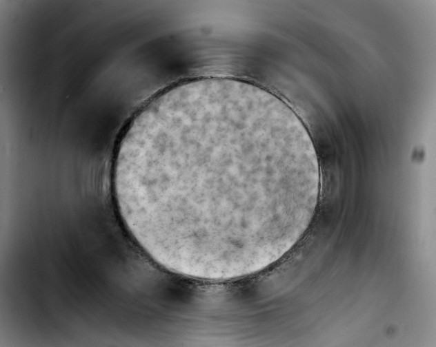 X0000103430301200810241105