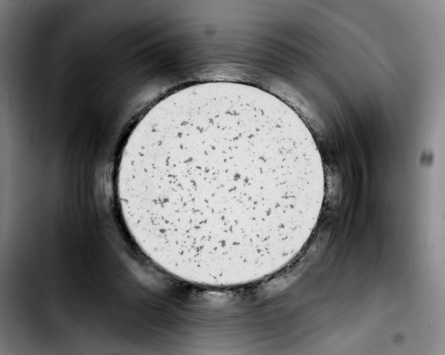 X0000103430302200810241105
