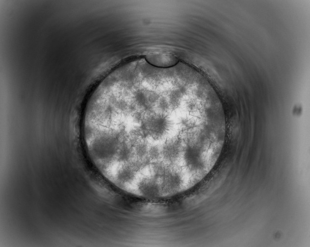 X0000103430303200810241105