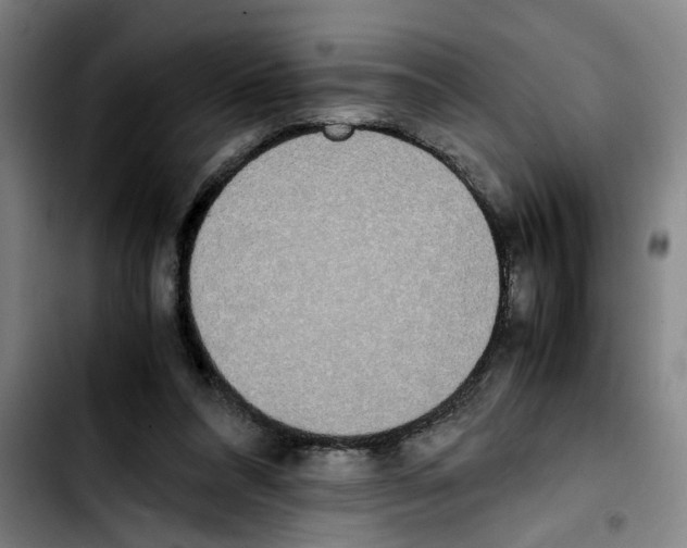 X0000103430304200810241105