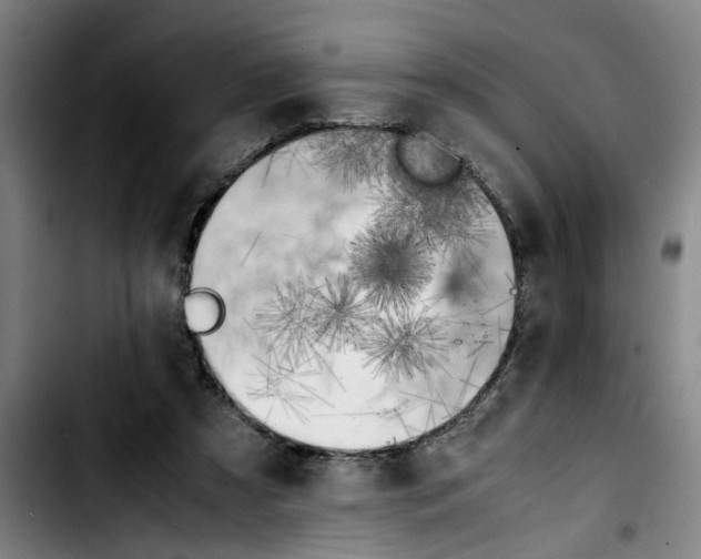 X0000103430305200810241105