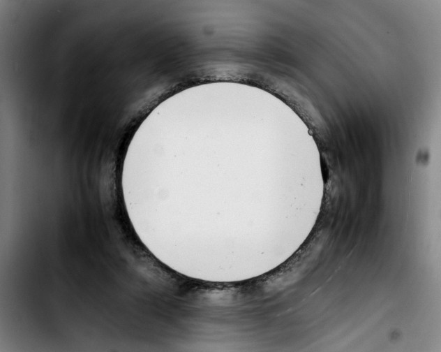 X0000103430306200810241105