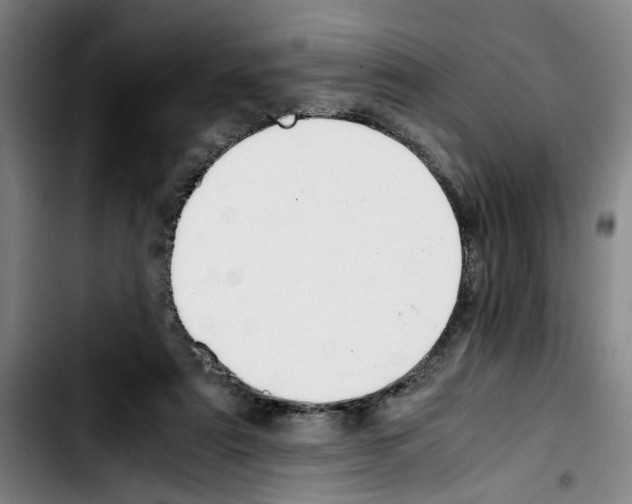 X0000103430307200810241105