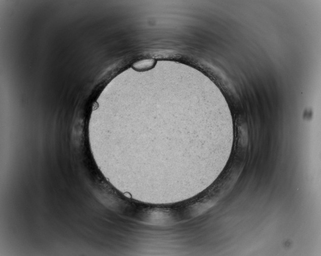 X0000103430308200810241105