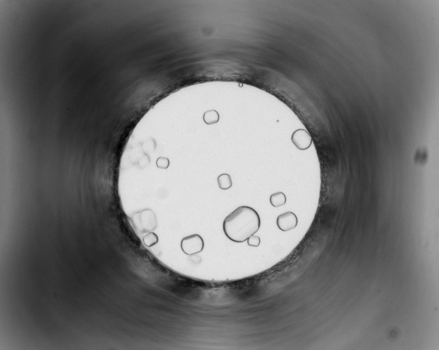 X0000103430309200810241105
