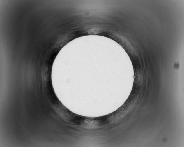 X0000103430311200810241105