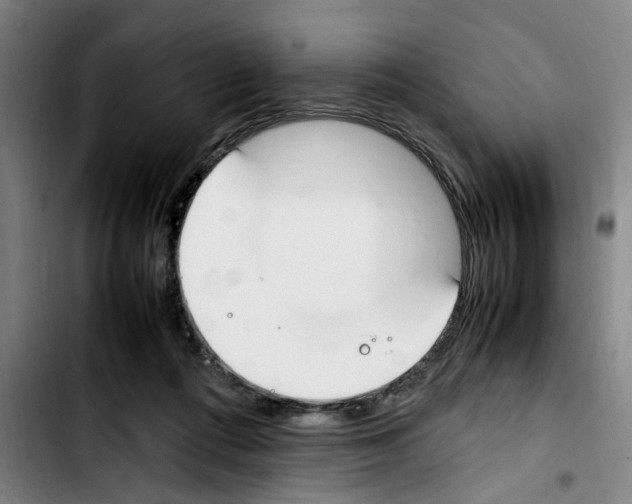 X0000103430312200810241105