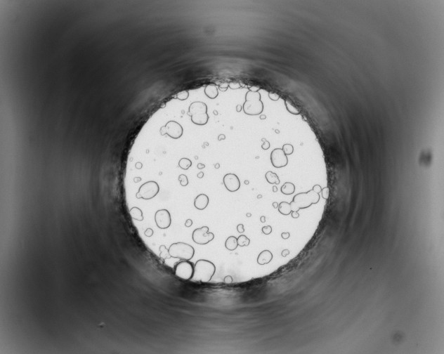 X0000103430313200810241105