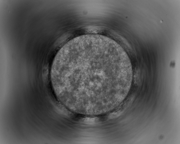 X0000103430314200810241105