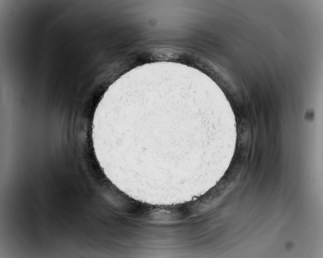 X0000103430315200810241105