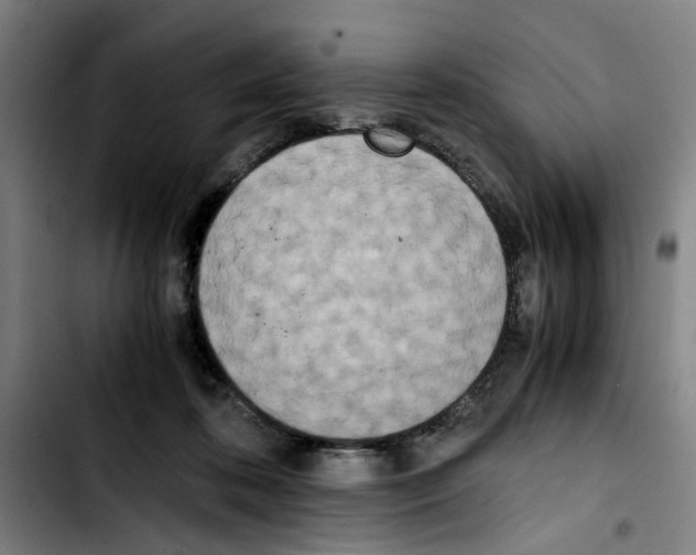 X0000103430316200810241105