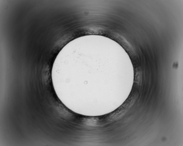 X0000103430318200810241105