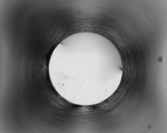 X0000103430320200810241105