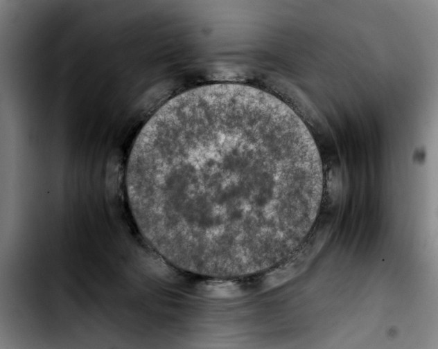 X0000103430322200810241104