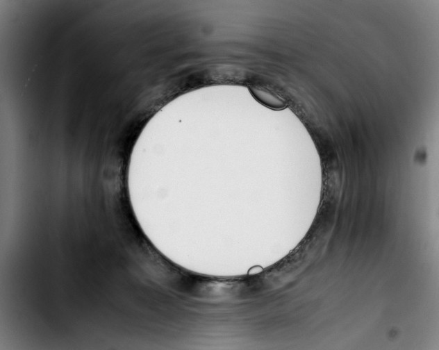 X0000103430323200810241104