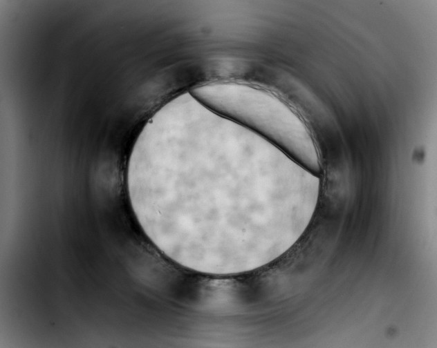X0000103430324200810241104
