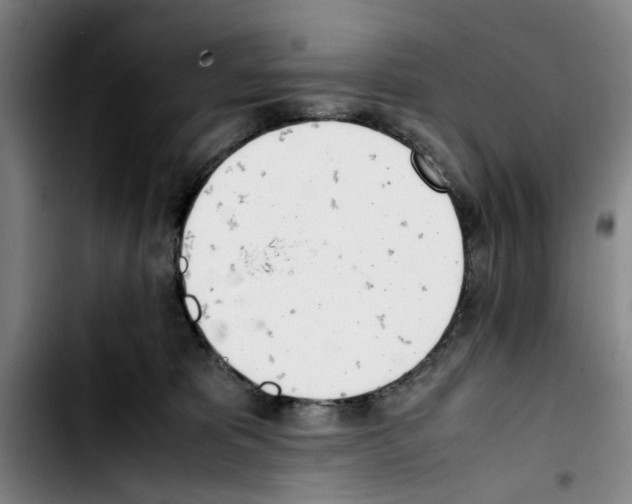 X0000103430325200810241104