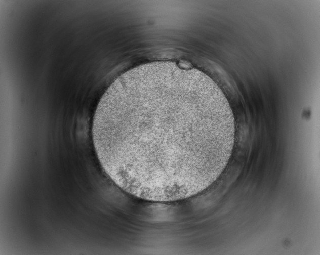 X0000103430326200810241104