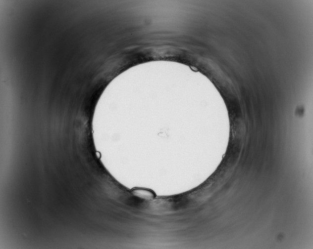 X0000103430327200810241104