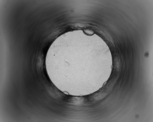 X0000103430328200810241104