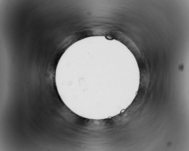 X0000103430329200810241104