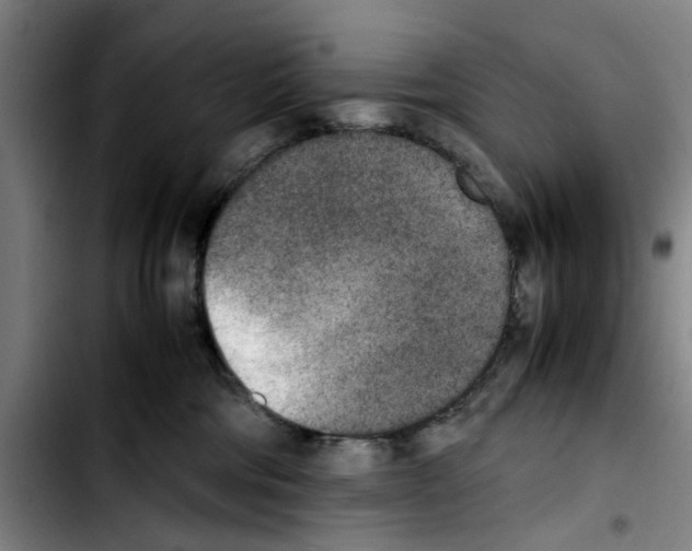 X0000103430330200810241104