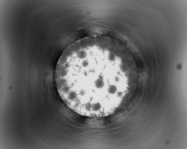 X0000103430331200810241104