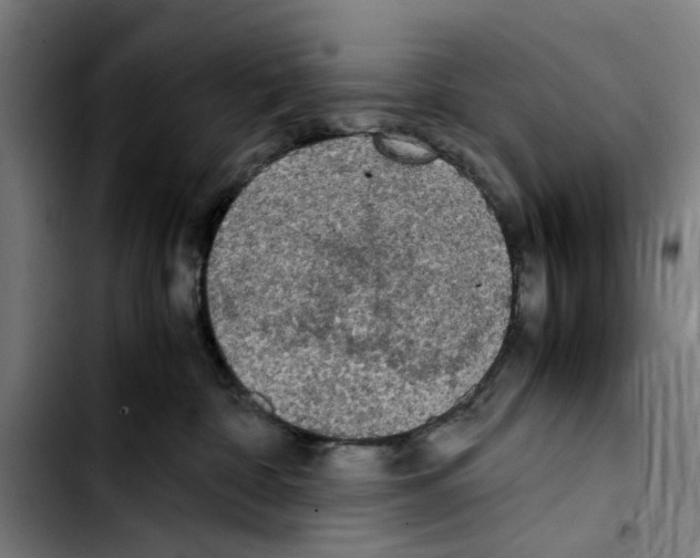 X0000103430332200810241104