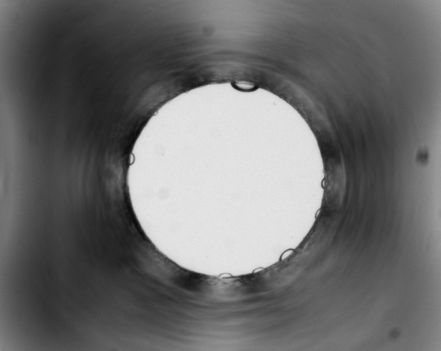 X0000103430333200810241104