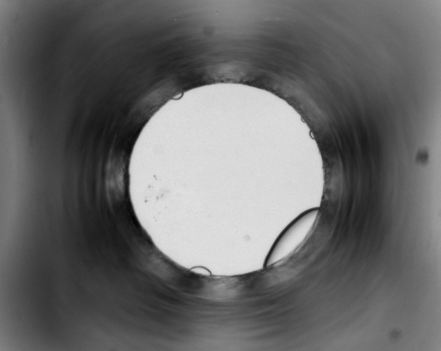 X0000103430334200810241104