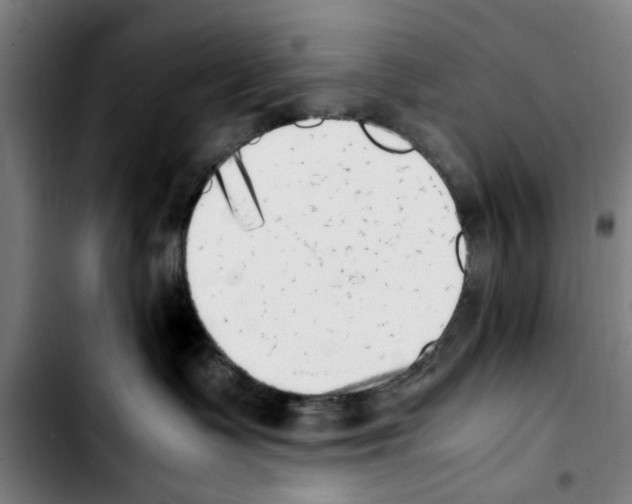 X0000103430335200810241104