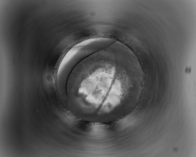 X0000103430336200810241104