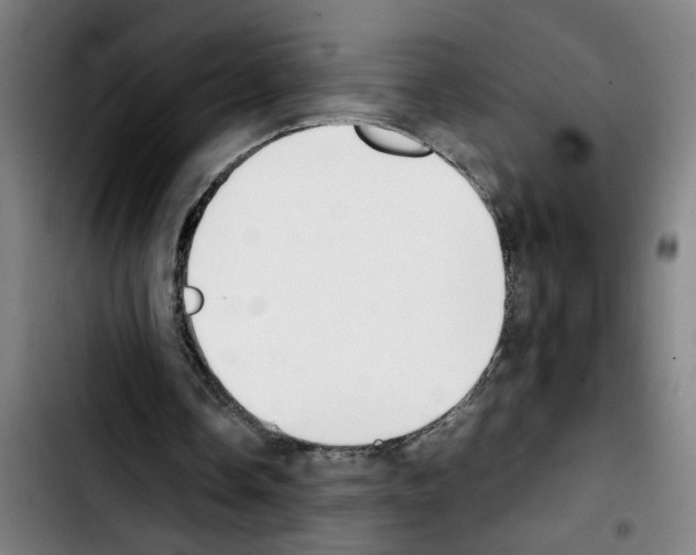 X0000103430338200810241104