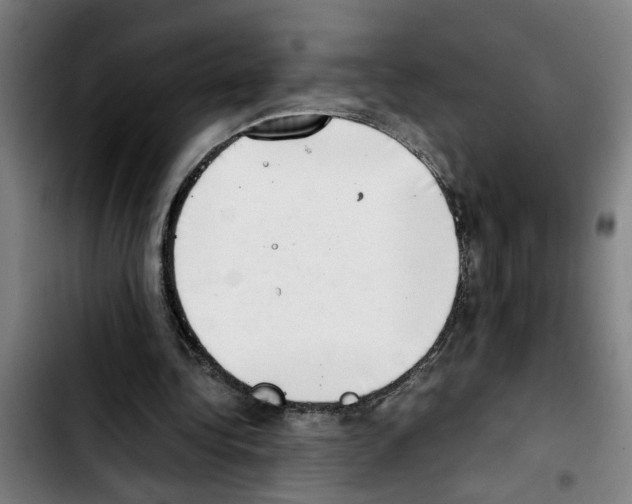 X0000103430340200810241104