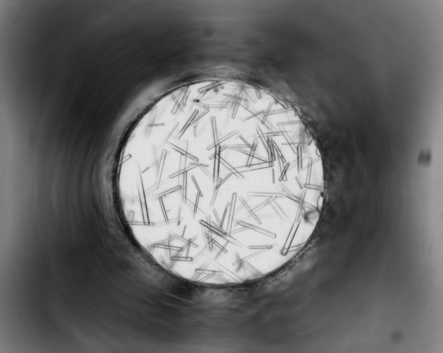 X0000103430341200810241104