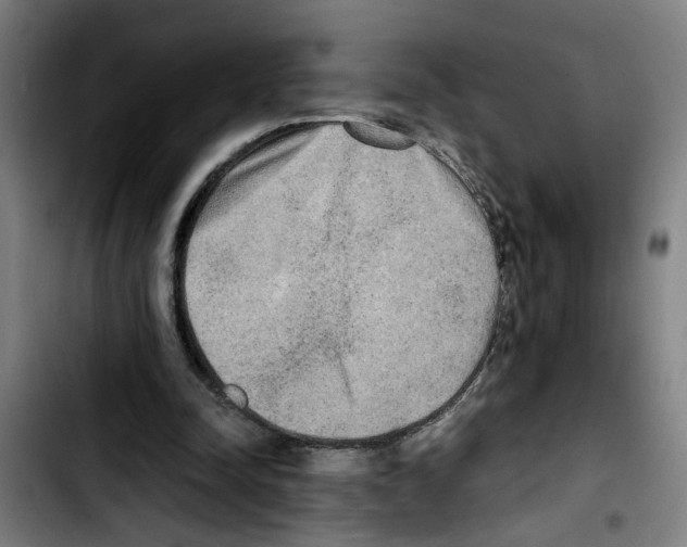 X0000103430342200810241104