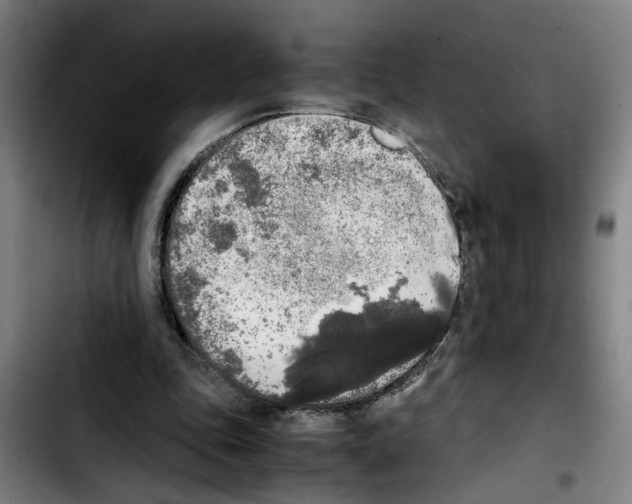 X0000103430343200810241104