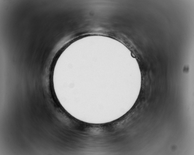 X0000103430344200810241104
