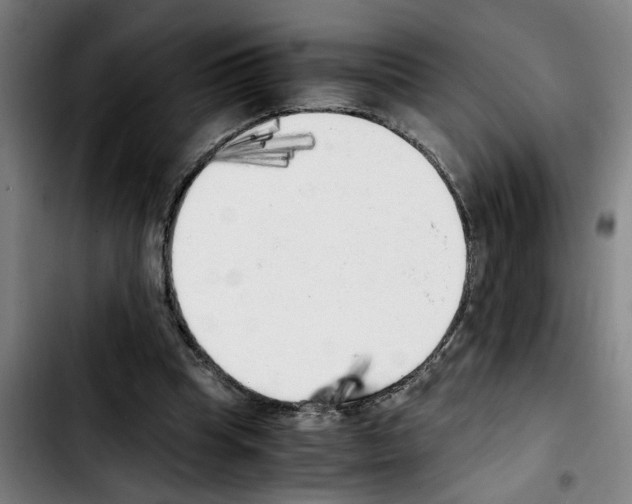 X0000103430345200810241104