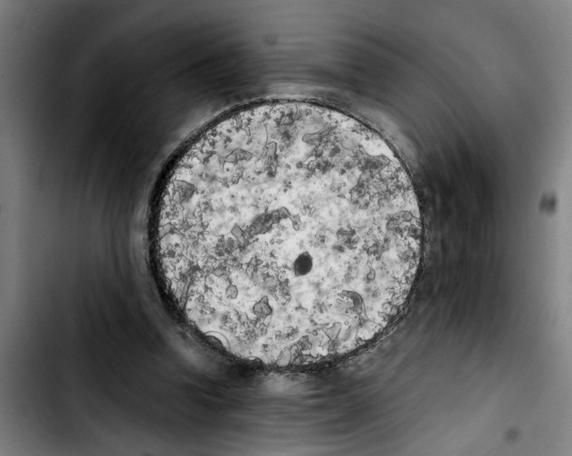 X0000103430346200810241104
