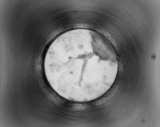 X0000103430347200810241104
