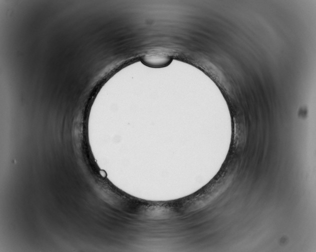 X0000103430348200810241104