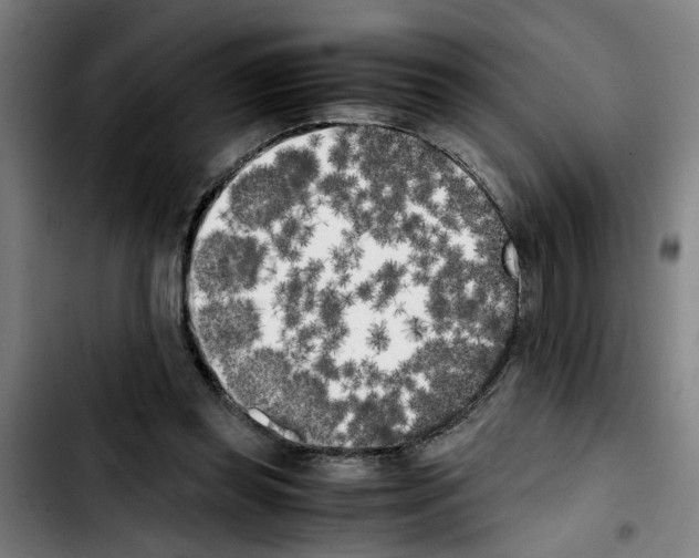 X0000103430349200810241104