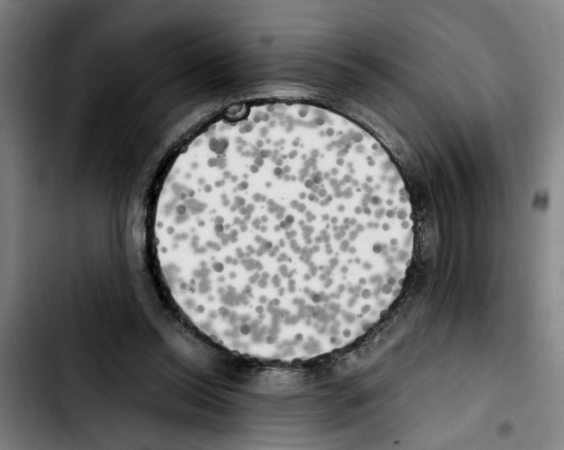 X0000103430350200810241104