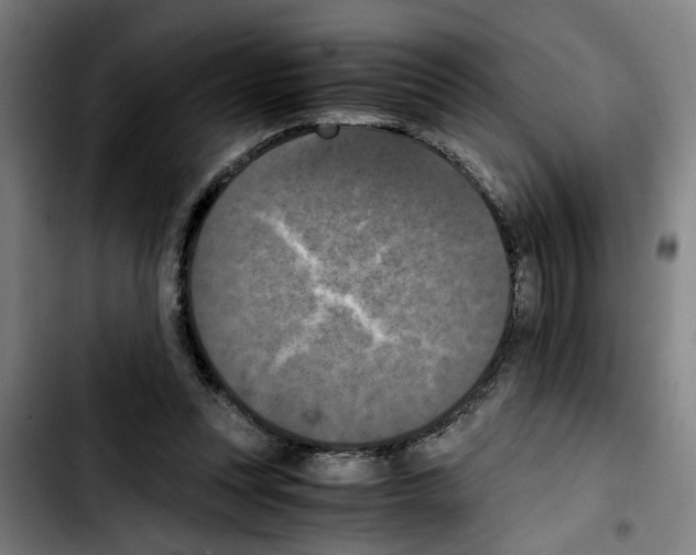 X0000103430351200810241104
